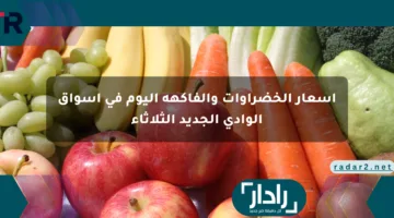 أسعار الخضراوات والفاكهة اليوم في أسواق الوادي الجديد الثلاثاء